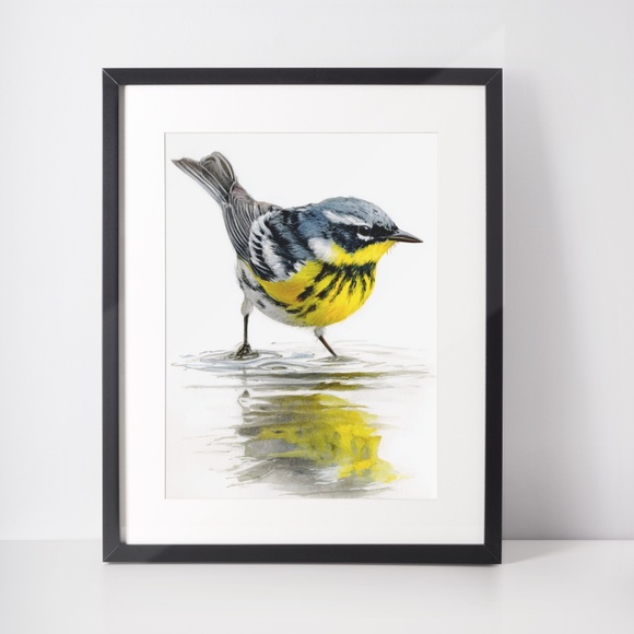 Watercolor Magnolia Warbler Bird Portrait Wall Art Print Poster , Unframed - Picture 3 of 7